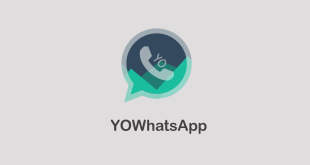 YOWhatsaApp