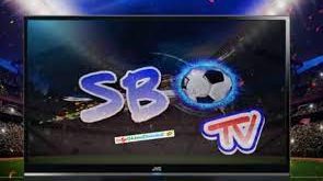 Download SBO TV Apk Mod Streaming Bola Gratis Terbaru 2023